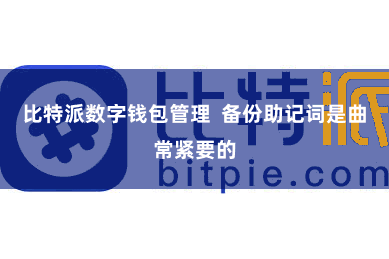 比特派数字钱包管理  备份助记词是曲常紧要的
