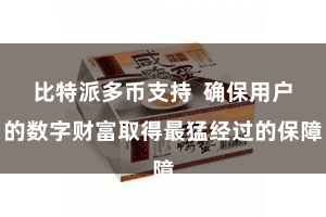 比特派多币支持  确保用户的数字财富取得最猛经过的保障