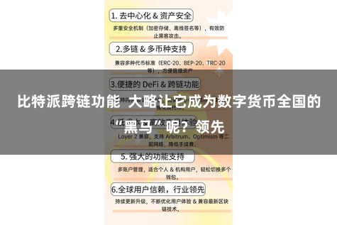 比特派跨链功能  大略让它成为数字货币全国的“黑马”呢？领先