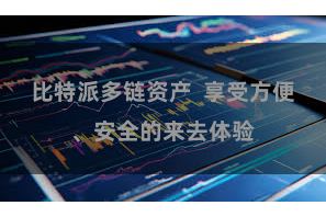 比特派多链资产  享受方便、安全的来去体验