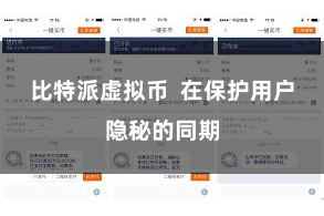 比特派虚拟币  在保护用户隐秘的同期